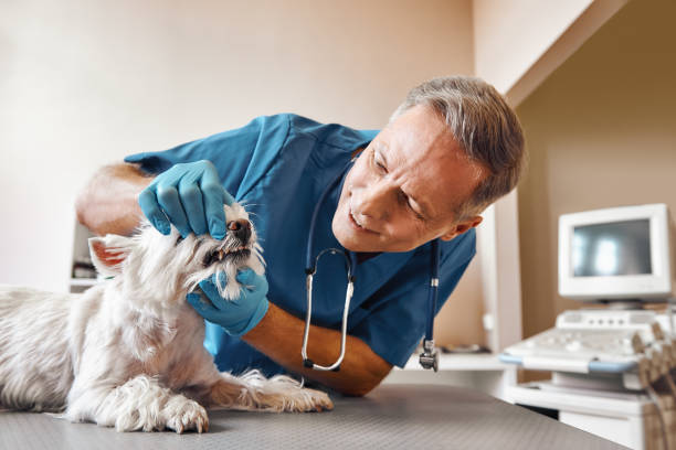 Best Emergency Tooth Extraction in Myerstown, PA